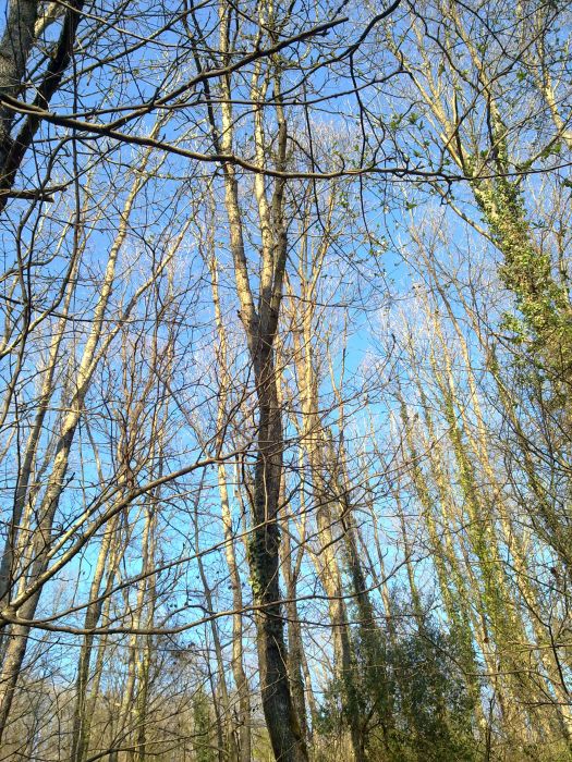 27032010252.jpg