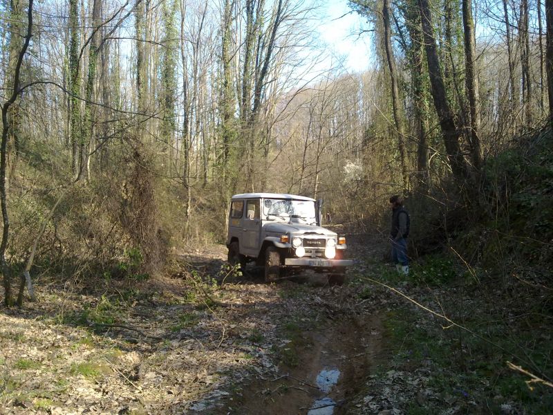 27032010264.jpg