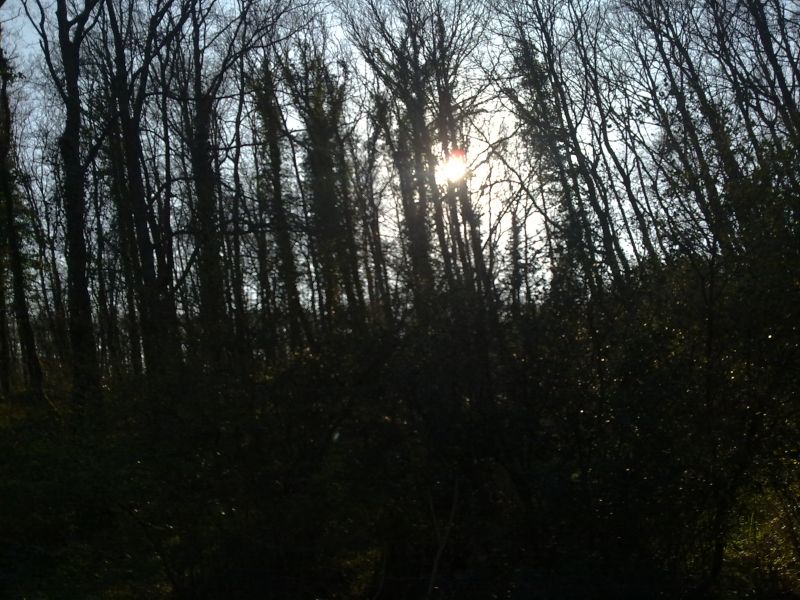 27032010271.jpg