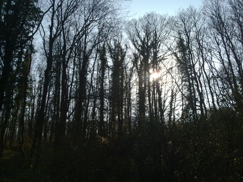27032010272.jpg