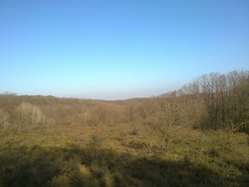 27032010273.jpg