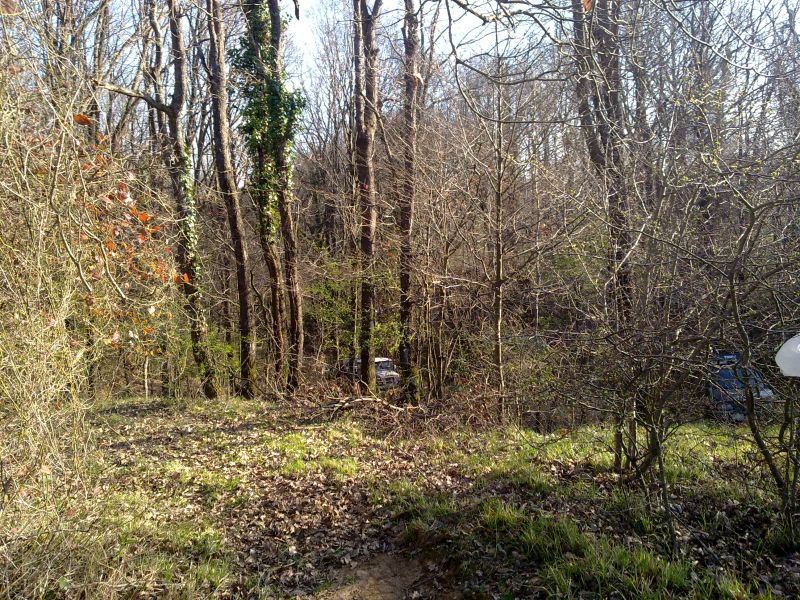 27032010280.jpg
