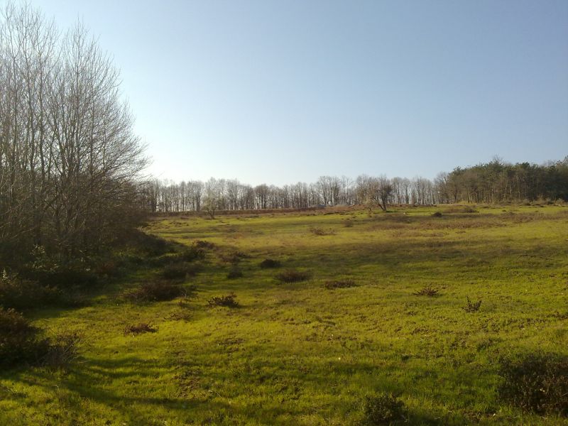 27032010282.jpg