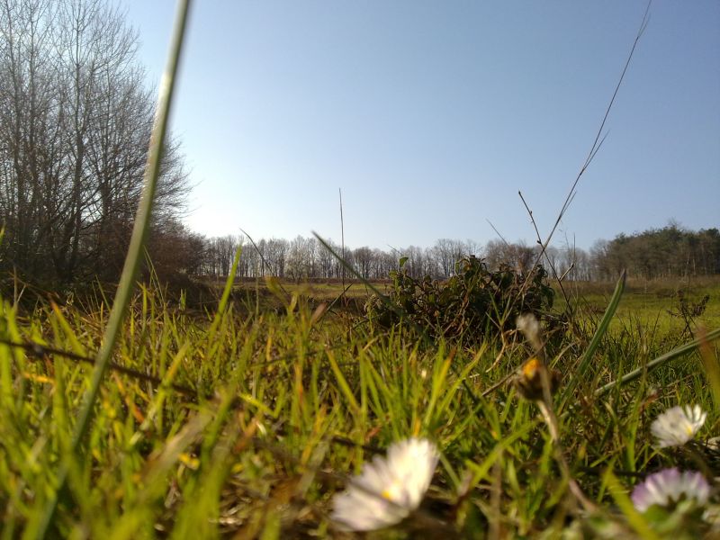 27032010284.jpg