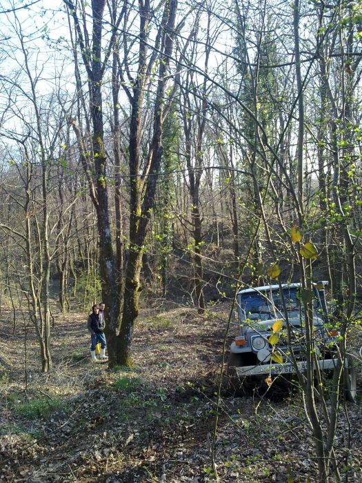 27032010296.jpg
