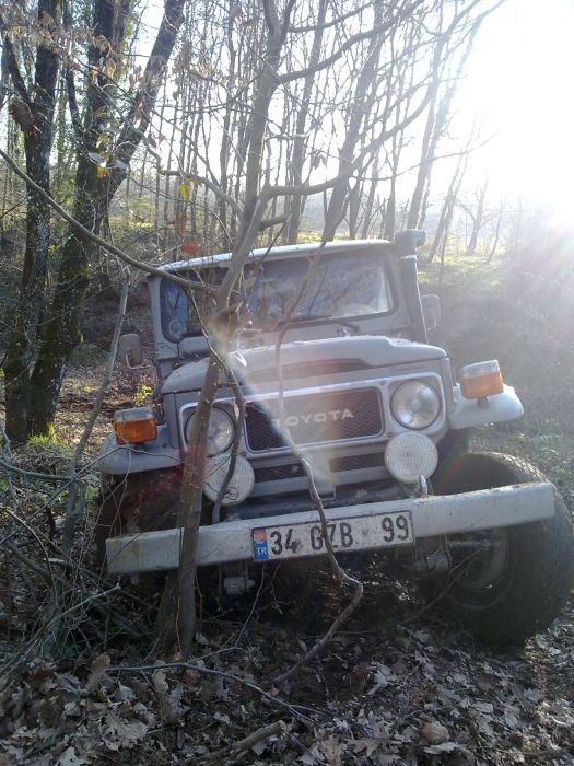 27032010317.jpg