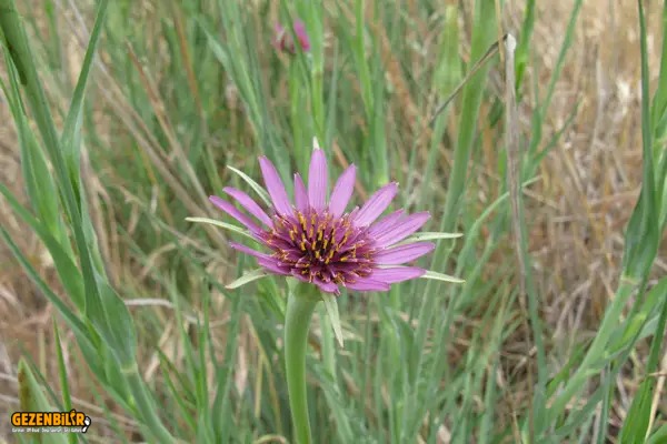 277071.jpg 277071.jpg