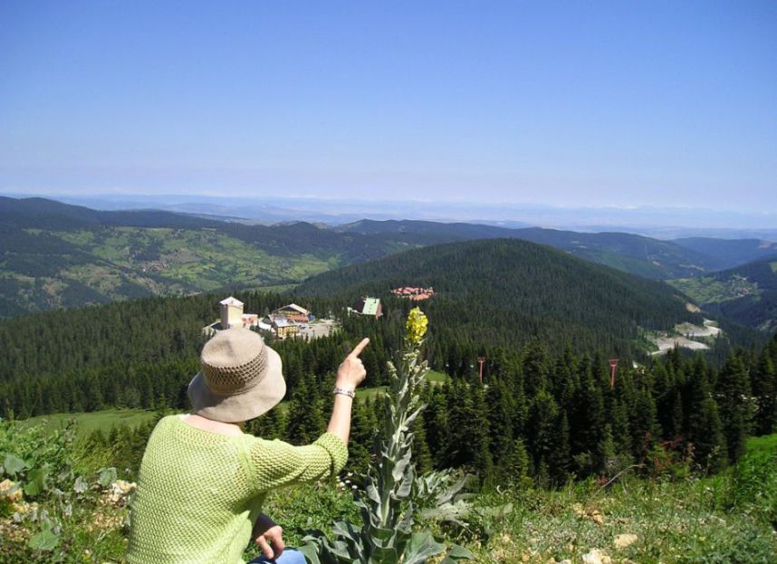 290_Ilgaz%20Mountain%20Resort%201.jpg