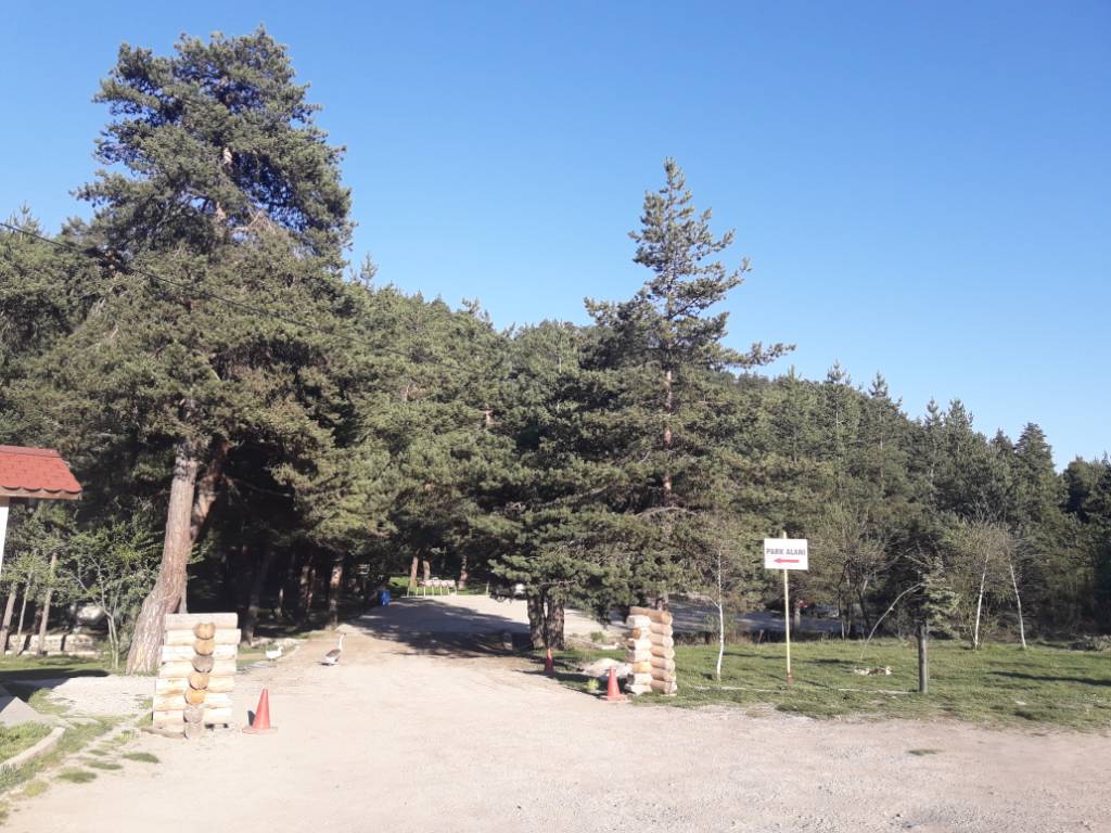 2e99d85c1c54bdbabb6429ca21fd7909.jpg 2e99d85c1c54bdbabb6429ca21fd7909.jpg