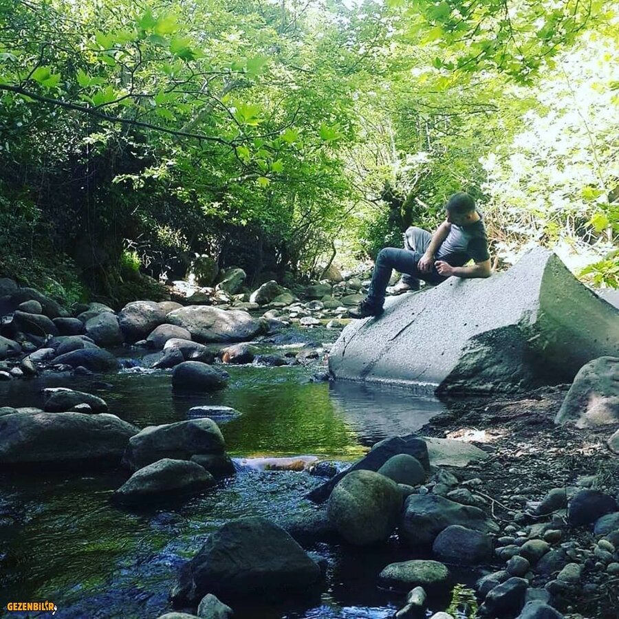 30713855_1690400231052179_3831732116526202880_n.jpg 30713855_1690400231052179_3831732116526202880_n.jpg