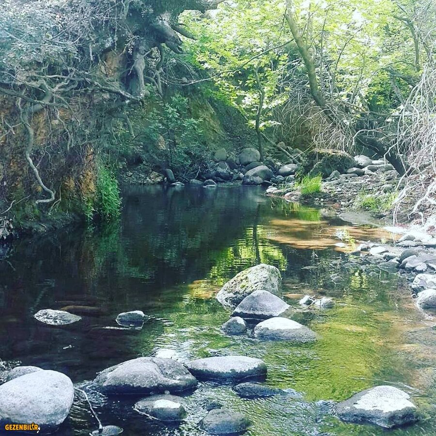 30716540_1690400317718837_440194505291857920_n.jpg 30716540_1690400317718837_440194505291857920_n.jpg