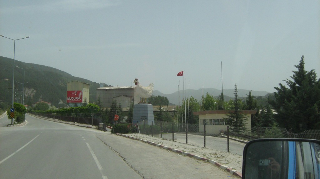 418.JPG