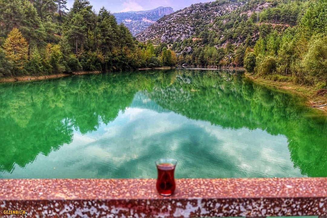 44448557_751885651830895_4041675065614461307_n.jpg 44448557_751885651830895_4041675065614461307_n.jpg