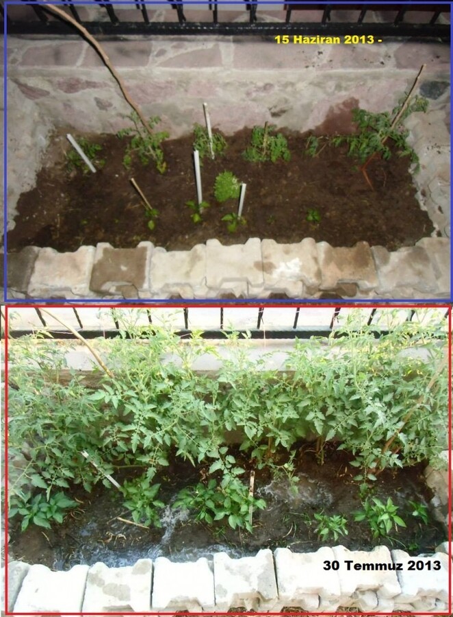 45 GÃƒÂƒÃ‚ÂƒÃƒÂ‚Ã‚Â¼nde BahÃƒÂƒÃ‚ÂƒÃƒÂ‚Ã‚Â§enin Durumu.jpg