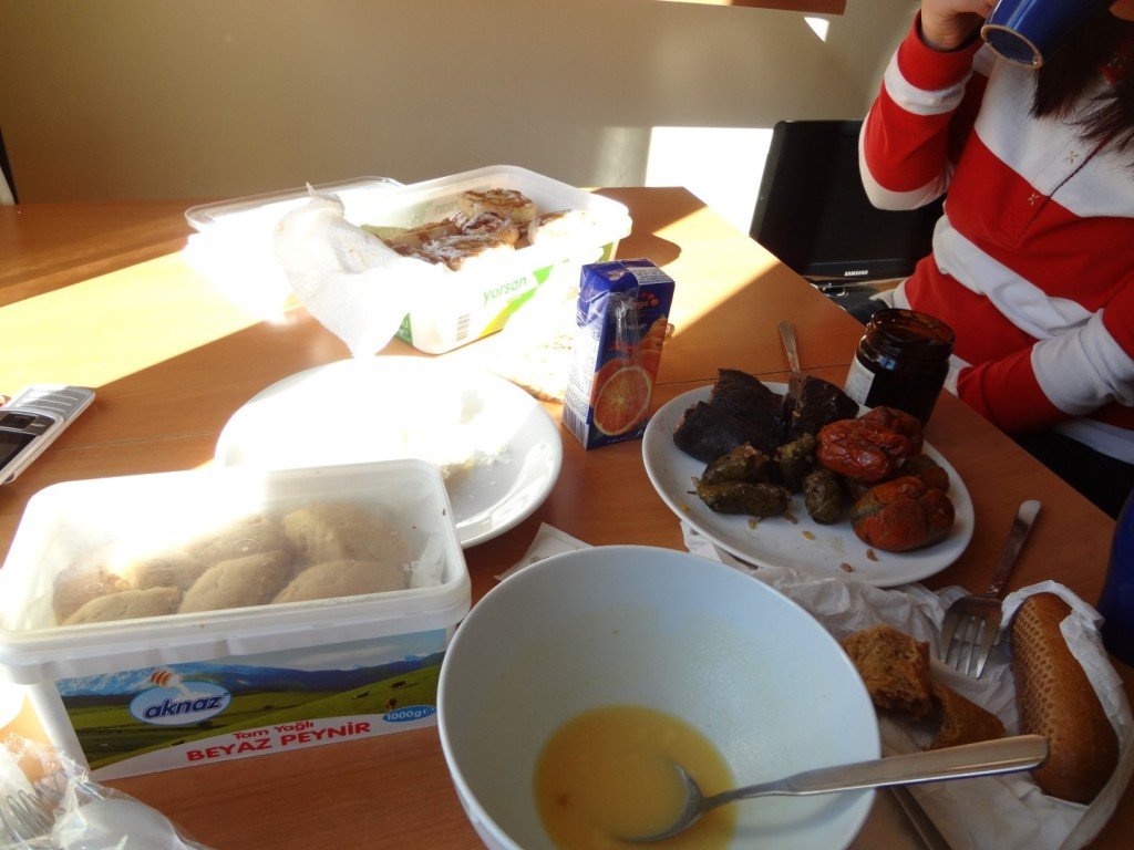 4SC04147 (Large).JPG