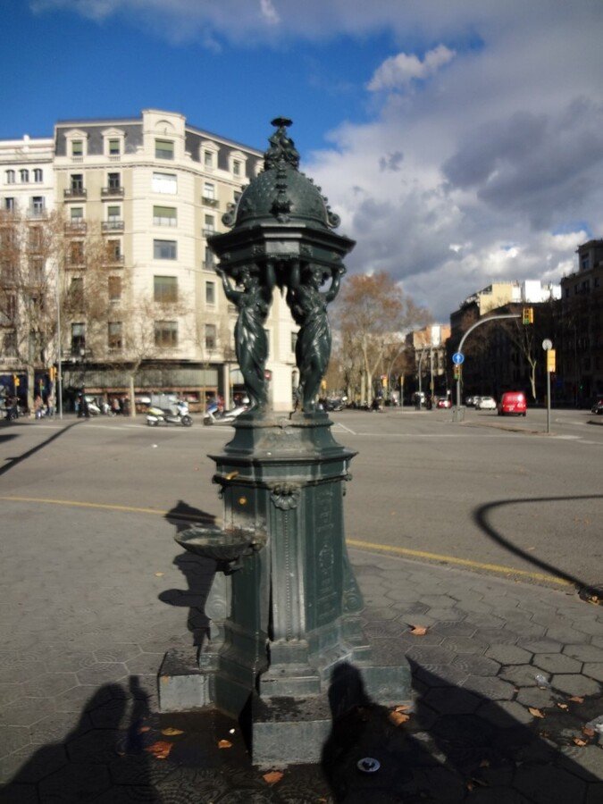 4SC04195 (Large).JPG