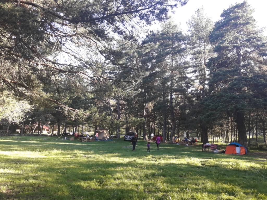 5b1bc2ef16b9066bea455ba512341195.jpg 5b1bc2ef16b9066bea455ba512341195.jpg