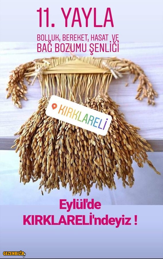 67881999_10157469364013281_6118220151973216256_n.jpg 67881999_10157469364013281_6118220151973216256_n.jpg