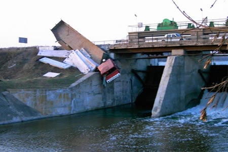 732990.jpg