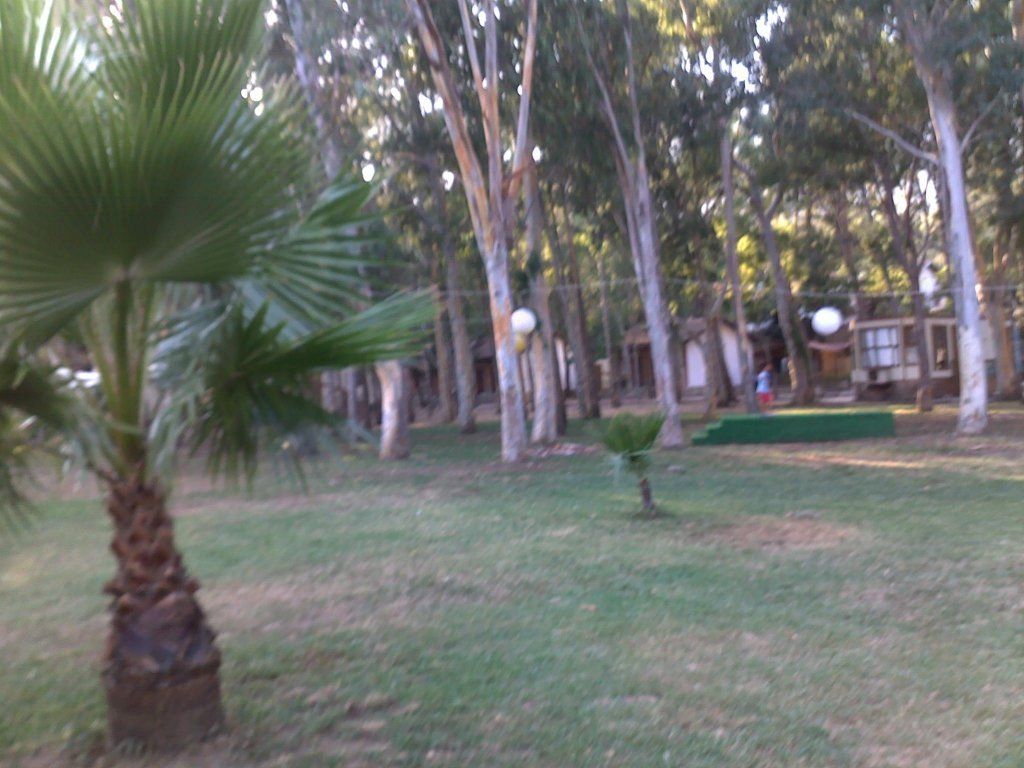 758.jpg