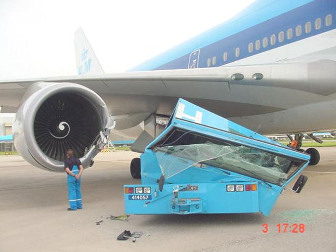 768607.jpg