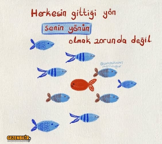 7Mn-mG2n_jlcCdYs&_nc_zt=23&_nc_ht=scontent.fesb4-5.jpg