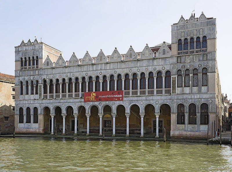 800px-Fondaco_dei_Turchi.jpg