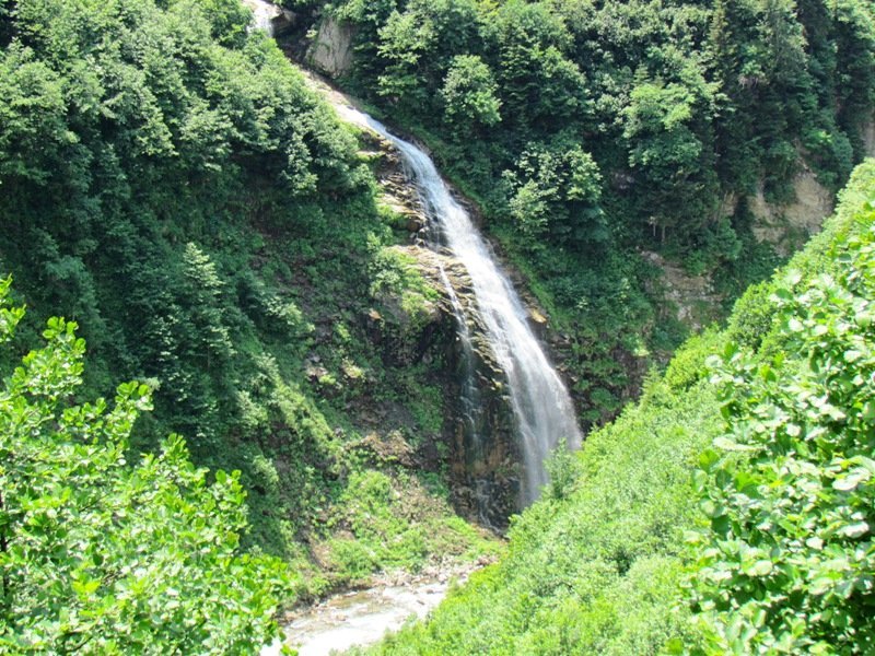 84 Ayder-ÃƒÂƒÃ‚Â…ÃƒÂ‚Ã‚Âželale.jpg