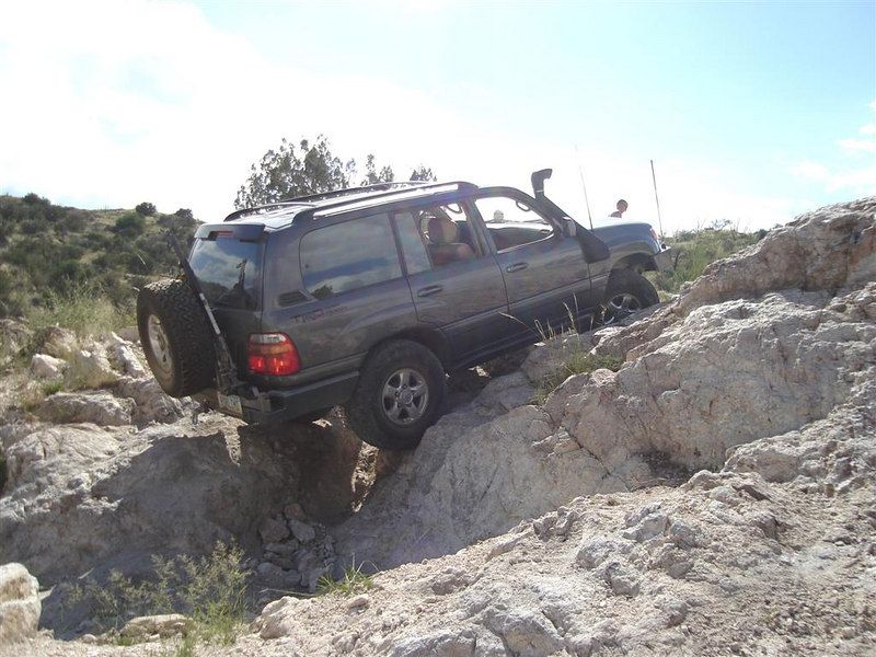 97623915-L.jpg