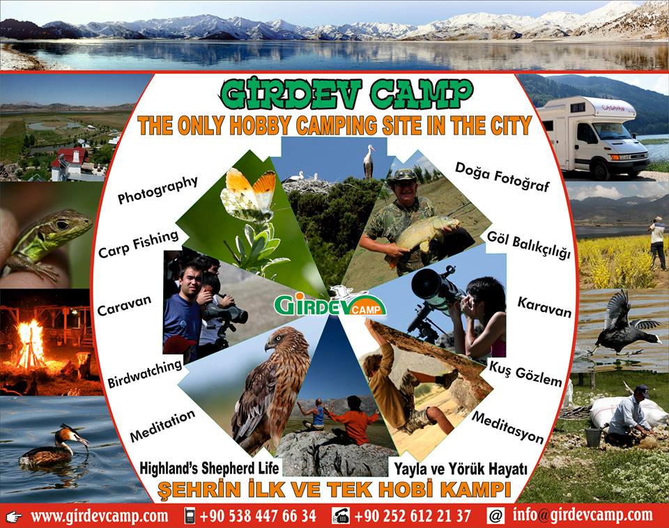 988929_882835591750280_7881956094453027871_n.jpg 988929_882835591750280_7881956094453027871_n.jpg