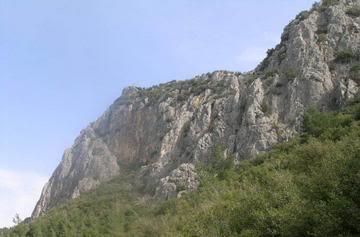 9d78.jpg