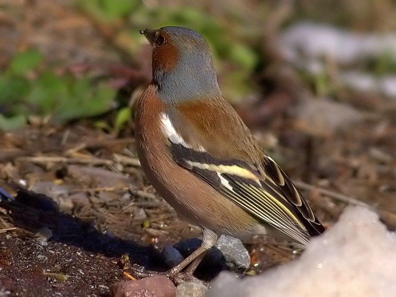 _Canon 40D 24. jpg.jpg