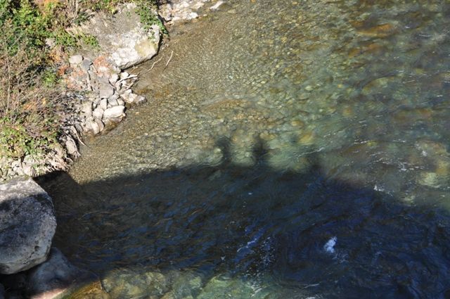 _DSC0069.jpg