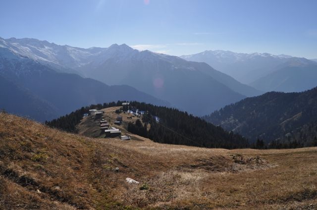 _DSC0080.jpg