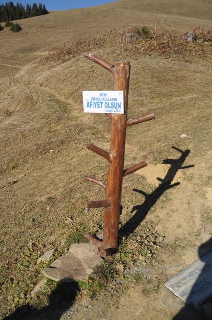 _DSC0103.jpg