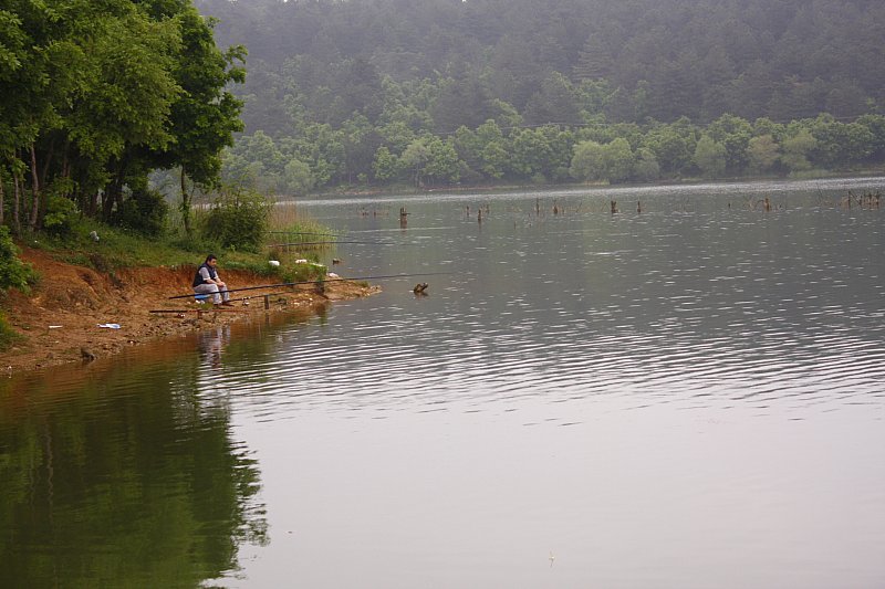 _MG_8170.jpg _MG_8170.jpg