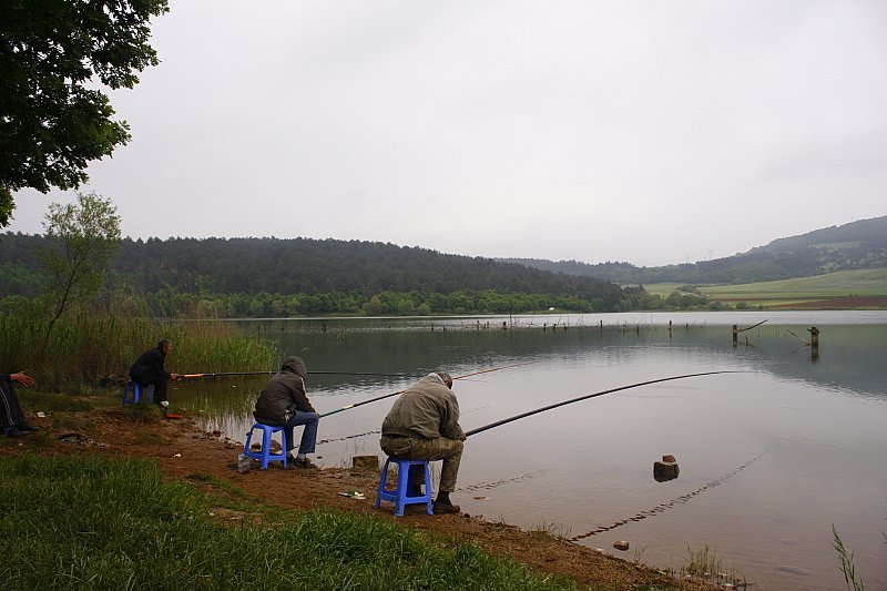 _MG_8190.jpg _MG_8190.jpg