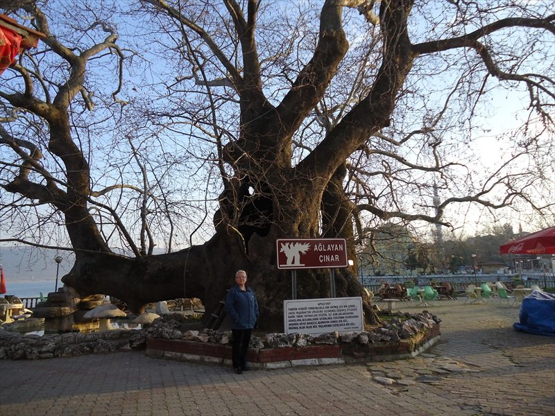 AÃƒÂƒÃ‚Â„ÃƒÂ‚Ã‚ÂŸlayan ÃƒÂƒÃ‚ÂƒÃƒÂ‚Ã‚Â§ÃƒÂƒÃ‚Â„ÃƒÂ‚Ã‚Â±nar.jpg