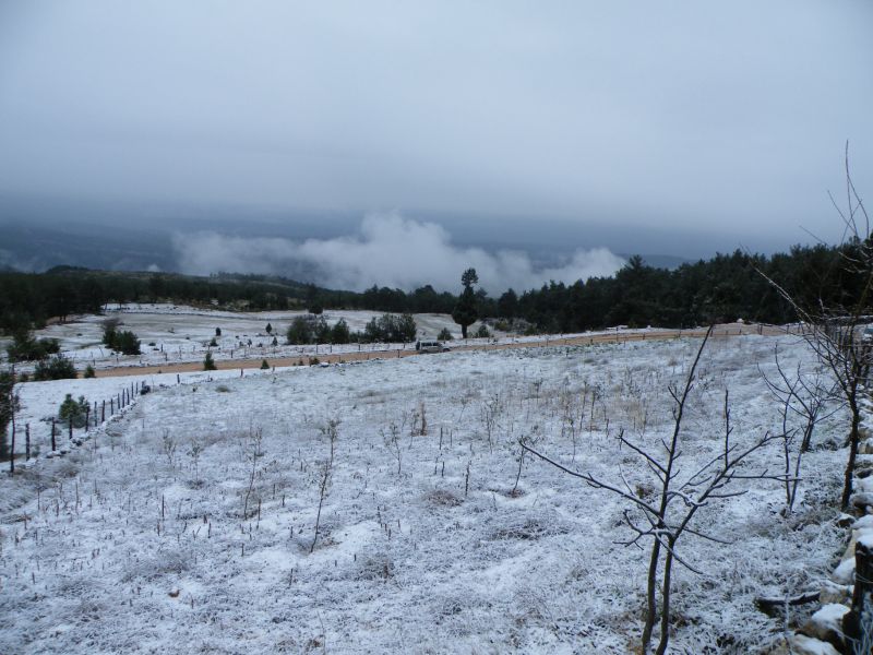 adana offroad  1 107.jpg