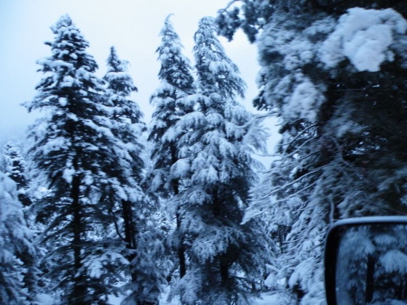 adana offroad  1 122.jpg