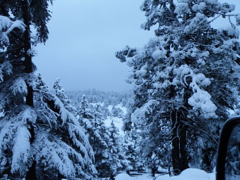 adana offroad  1 123.jpg