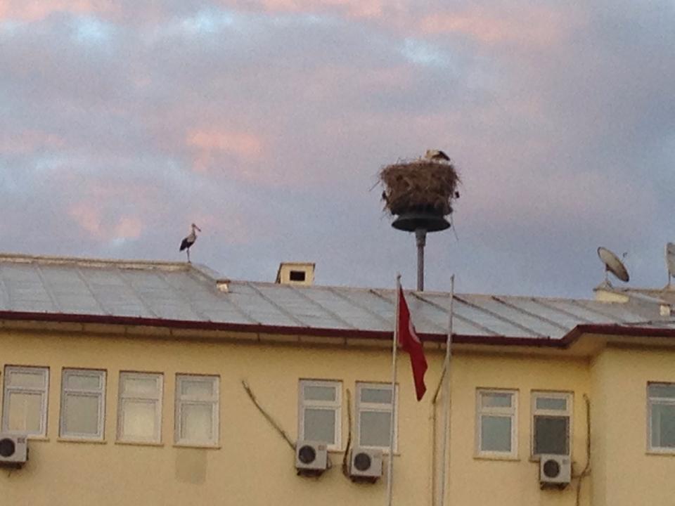 ÃƒÂƒÃ‚Â„ÃƒÂ‚Ã‚Â±ÃƒÂƒÃ‚Â„ÃƒÂ‚Ã‚ÂŸdÃƒÂƒÃ‚Â„ÃƒÂ‚Ã‚Â±r valiliÃƒÂƒÃ‚Â„ÃƒÂ‚Ã‚ÂŸi1.jpg