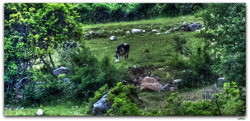 ÃƒÂƒÃ‚Â„ÃƒÂ‚Ã‚Â°NEK HDR.jpg