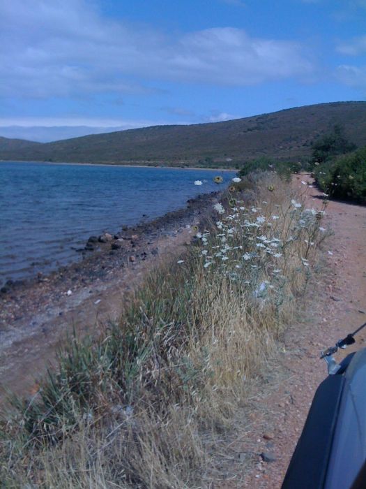 ÃƒÂƒÃ‚Â„ÃƒÂ‚Ã‚Â± phone 255.jpg