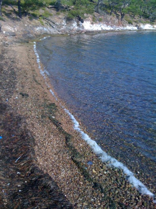 ÃƒÂƒÃ‚Â„ÃƒÂ‚Ã‚Â± phone 269.jpg