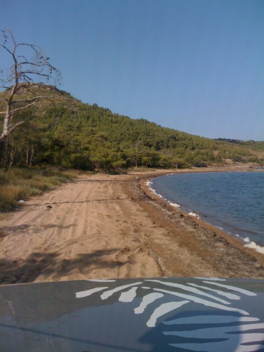 ÃƒÂƒÃ‚Â„ÃƒÂ‚Ã‚Â± phone 280.jpg