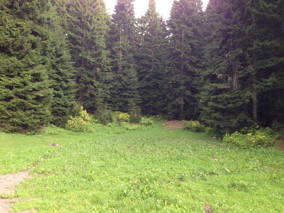 ÃƒÂƒÃ‚Â…ÃƒÂ‚Ã‚ÂŸavÃƒÂƒÃ‚Â…ÃƒÂ‚Ã‚ÂŸat karagÃƒÂƒÃ‚ÂƒÃƒÂ‚Ã‚Â¶l-2.jpg