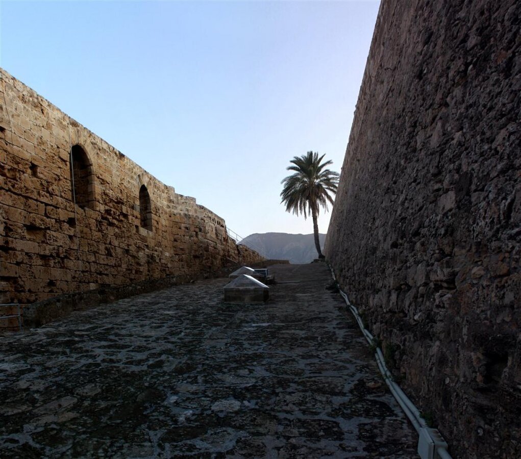 ÃƒÂƒÃ‚Â…ÃƒÂ‚Ã‚ÂŸl (Large).jpg