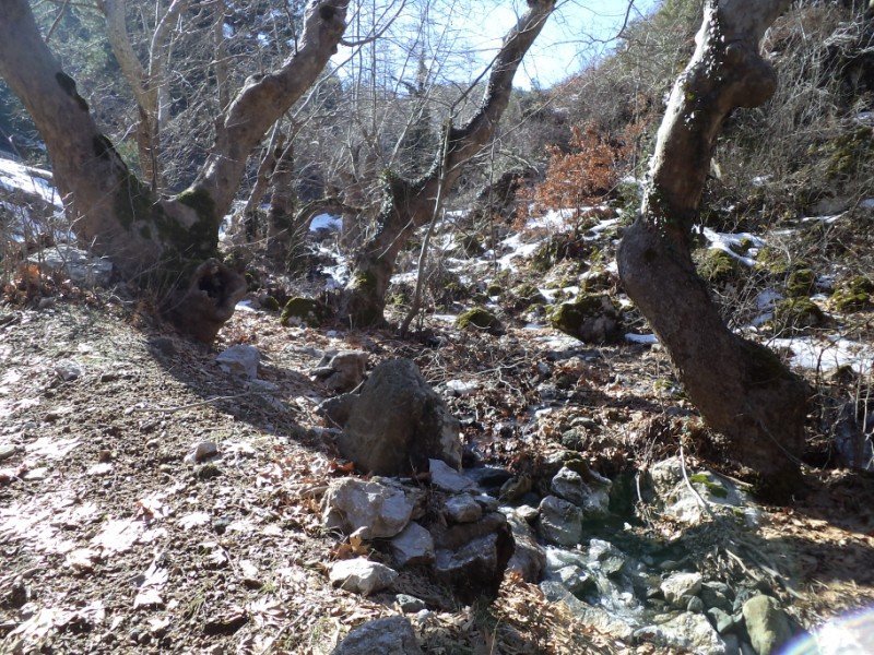 ÃƒÂƒÃ‚Â…ÃƒÂ‚Ã‚ÂžUBAT 12.2012 (15) [800x600].JPG