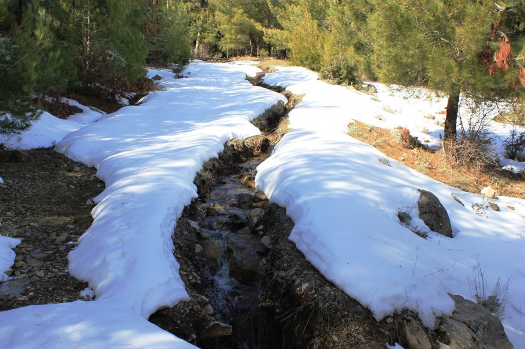 ÃƒÂƒÃ‚Â…ÃƒÂ‚Ã‚Âžubat 2012 236.jpg